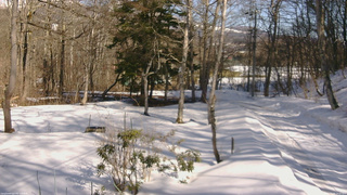 長野県菅平高原 ゆたか山荘 坂上 2026/03/08 14:30