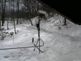 長野県菅平高原 ゆたか山荘 南側 2026/03/10 10:30
