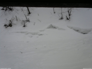 長野県菅平高原 ゆたか山荘 東側(坂下) 2026/03/10 12:45