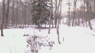 長野県菅平高原 ゆたか山荘 坂上 2026/03/10 06:30