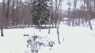 長野県菅平高原 ゆたか山荘 坂上 2026/03/10 13:00
