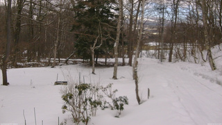 長野県菅平高原 ゆたか山荘 坂上 2026/03/10 14:15