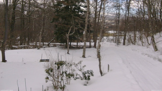 長野県菅平高原 ゆたか山荘 坂上 2026/03/10 14:30
