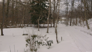 長野県菅平高原 ゆたか山荘 坂上 2026/03/10 15:45