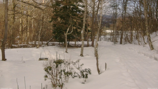 長野県菅平高原 ゆたか山荘 坂上 2026/03/10 16:00