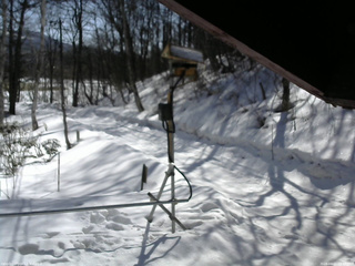 長野県菅平高原 ゆたか山荘 南側 2026/03/11 09:45