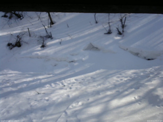 長野県菅平高原 ゆたか山荘 東側(坂下) 2026/03/11 15:15