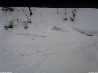 長野県菅平高原 ゆたか山荘 東側(坂下) 2026/03/11 16:15