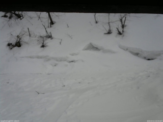 長野県菅平高原 ゆたか山荘 東側(坂下) 2026/03/11 16:30