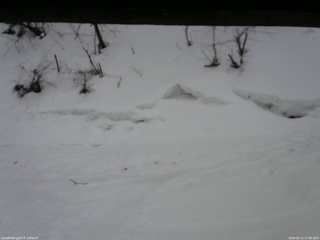長野県菅平高原 ゆたか山荘 東側(坂下) 2026/03/11 17:00