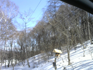 長野県菅平高原 ゆたか山荘 温度計 2026/03/11 13:45