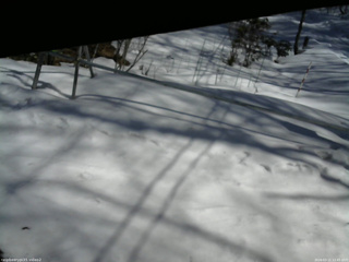 長野県菅平高原 ゆたか山荘 駐車場 2026/03/11 12:45