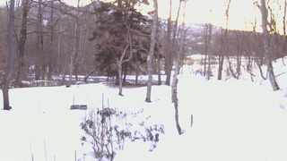 長野県菅平高原 ゆたか山荘 坂上 2026/03/11 06:00