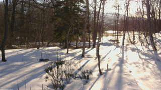 長野県菅平高原 ゆたか山荘 坂上 2026/03/11 07:15