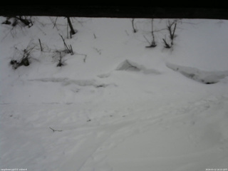 長野県菅平高原 ゆたか山荘 東側(坂下) 2026/03/12 16:15