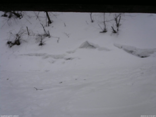 長野県菅平高原 ゆたか山荘 東側(坂下) 2026/03/12 17:15
