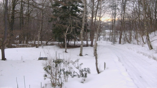 長野県菅平高原 ゆたか山荘 坂上 2026/03/12 06:30