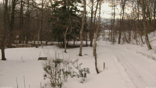 長野県菅平高原 ゆたか山荘 坂上 2026/03/12 07:15