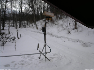 長野県菅平高原 ゆたか山荘 南側 2026/03/13 08:00