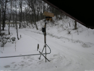 長野県菅平高原 ゆたか山荘 南側 2026/03/13 10:15