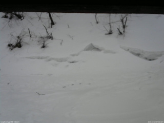 長野県菅平高原 ゆたか山荘 東側(坂下) 2026/03/13 07:00
