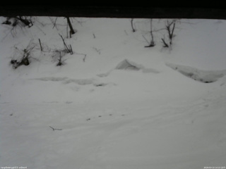 長野県菅平高原 ゆたか山荘 東側(坂下) 2026/03/13 14:15