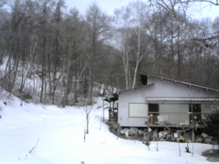 長野県菅平高原 ゆたか山荘 西側(坂上) 2026/03/13 06:30