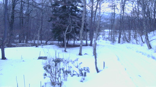 長野県菅平高原 ゆたか山荘 坂上 2026/03/13 06:00