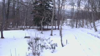 長野県菅平高原 ゆたか山荘 坂上 2026/03/13 06:15