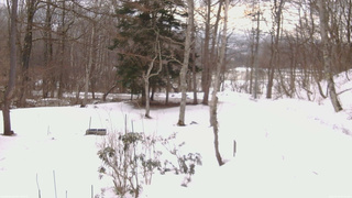 長野県菅平高原 ゆたか山荘 坂上 2026/03/13 06:30