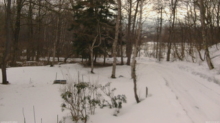 長野県菅平高原 ゆたか山荘 坂上 2026/03/13 07:45