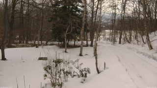 長野県菅平高原 ゆたか山荘 坂上 2026/03/13 08:15