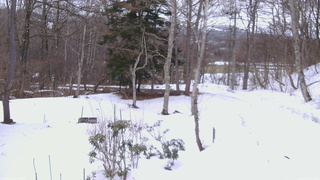 長野県菅平高原 ゆたか山荘 坂上 2026/03/13 13:00