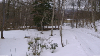 長野県菅平高原 ゆたか山荘 坂上 2026/03/13 13:15