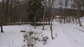 長野県菅平高原 ゆたか山荘 坂上 2026/03/13 13:30