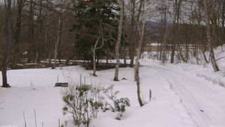 長野県菅平高原 ゆたか山荘 坂上 2026/03/13 13:45