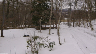 長野県菅平高原 ゆたか山荘 坂上 2026/03/13 14:00