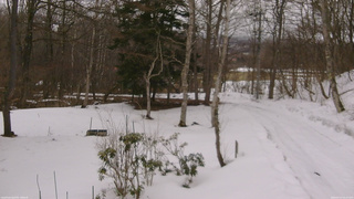 長野県菅平高原 ゆたか山荘 坂上 2026/03/13 14:15