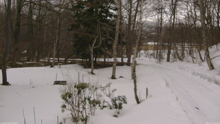長野県菅平高原 ゆたか山荘 坂上 2026/03/13 14:30