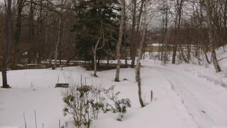 長野県菅平高原 ゆたか山荘 坂上 2026/03/13 14:45