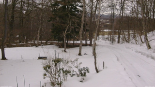 長野県菅平高原 ゆたか山荘 坂上 2026/03/13 15:15