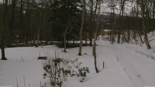 長野県菅平高原 ゆたか山荘 坂上 2026/03/13 15:45