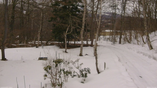長野県菅平高原 ゆたか山荘 坂上 2026/03/13 16:15