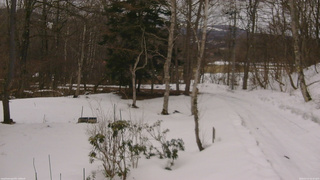 長野県菅平高原 ゆたか山荘 坂上 2026/03/13 16:30