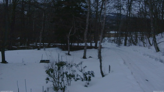 長野県菅平高原 ゆたか山荘 坂上 2026/03/13 17:45