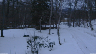 長野県菅平高原 ゆたか山荘 坂上 2026/03/13 18:00