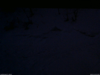 長野県菅平高原 ゆたか山荘 東側(坂下) 2026/03/14 05:30