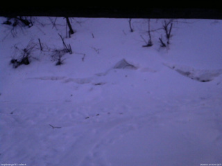 長野県菅平高原 ゆたか山荘 東側(坂下) 2026/03/14 05:45