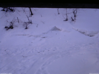 長野県菅平高原 ゆたか山荘 東側(坂下) 2026/03/14 06:00