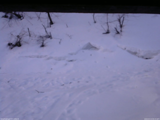 長野県菅平高原 ゆたか山荘 東側(坂下) 2026/03/14 06:15